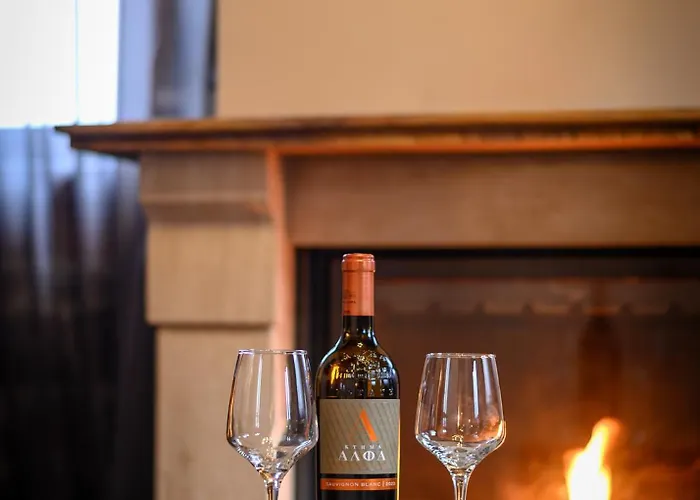 Enastron 3* Agios Athanasios (Pella)